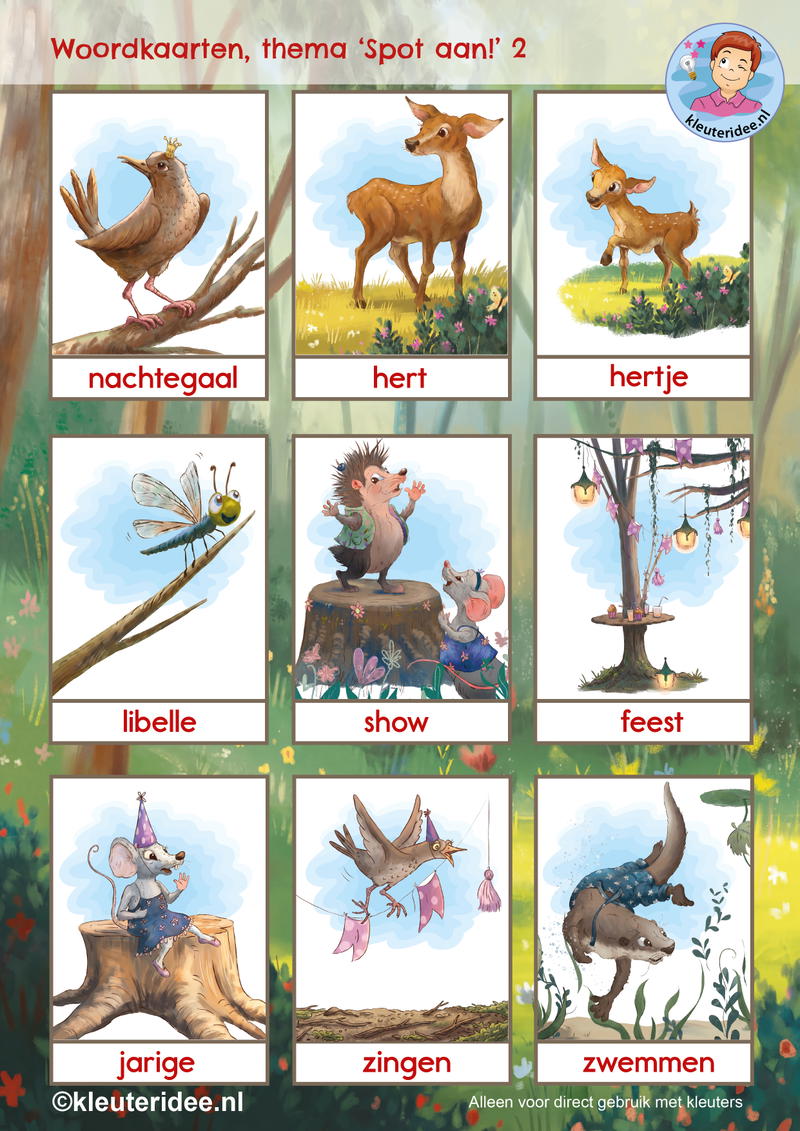 Woordkaarten kinderboekenweek, Spot aan, kleuteridee